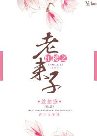 星际争霸2凤凰战机